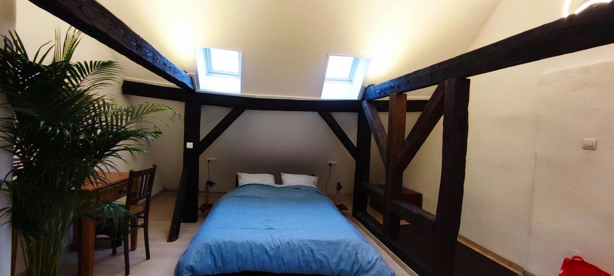 Haven Apartman Strasbourg Kültér fotó